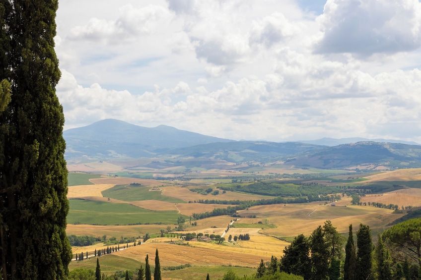 Medieval Tuscany Experience: Monteriggioni and Val d'Orcia from Florence
