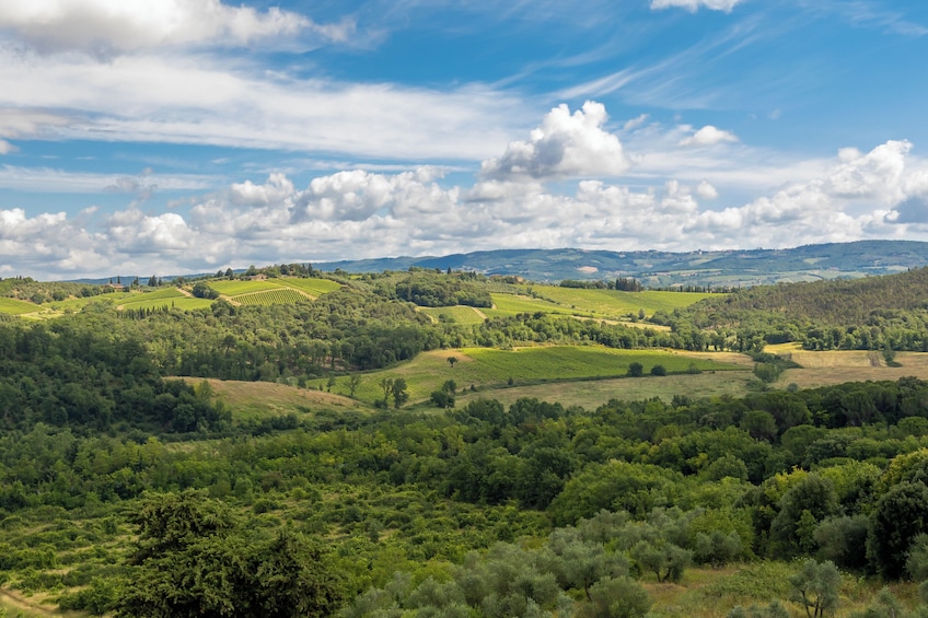 Medieval Tuscany Experience: Monteriggioni and Val d'Orcia from Florence