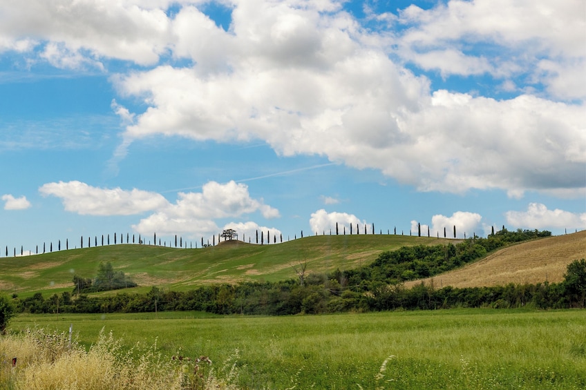 Medieval Tuscany Experience: Monteriggioni and Val d'Orcia from Florence