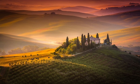 Medieval Tuscany Experience: Monteriggioni and Val d'Orcia from Florence