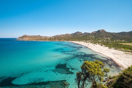 Ile Rousse : désert des agriates : Saleccia - Lotu