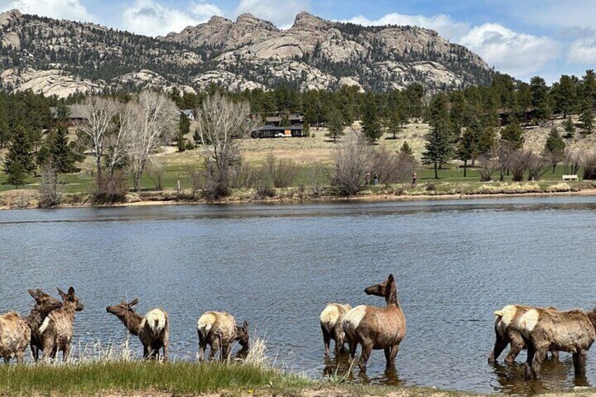 Half-Day Retractable Glass Top Tour in Rocky Mtn National Park