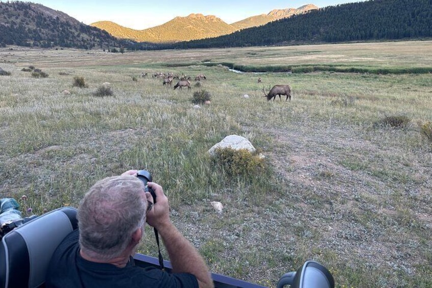 Half-Day Retractable Glass Top Tour in Rocky Mtn National Park
