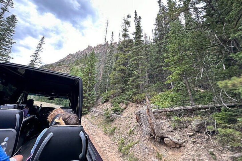 Half-Day Retractable Glass Top Tour in Rocky Mtn National Park