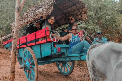 Sigiriya Dorf Tour und Mittagessen