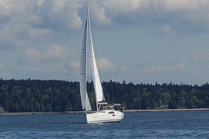 Sailing Experience on a 50’ sailboat