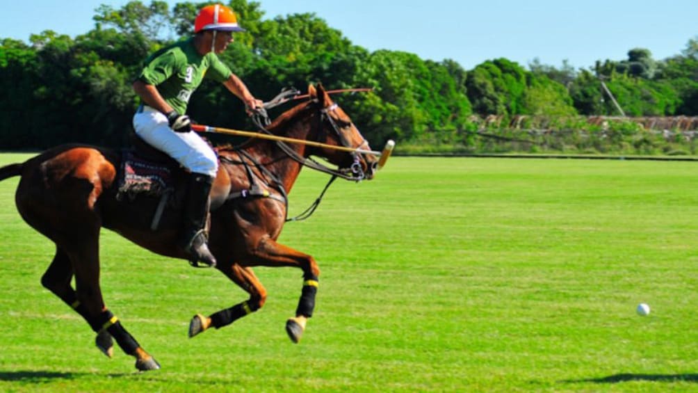 Person playing Polo