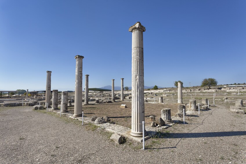 Show item 2 of 8. Full-Day Guided Pella & Vergina Tour