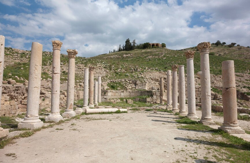Full-Day Guided Pella & Vergina Tour