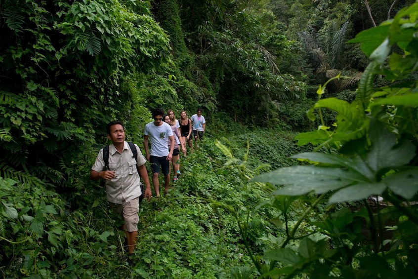 Tropical Trekking