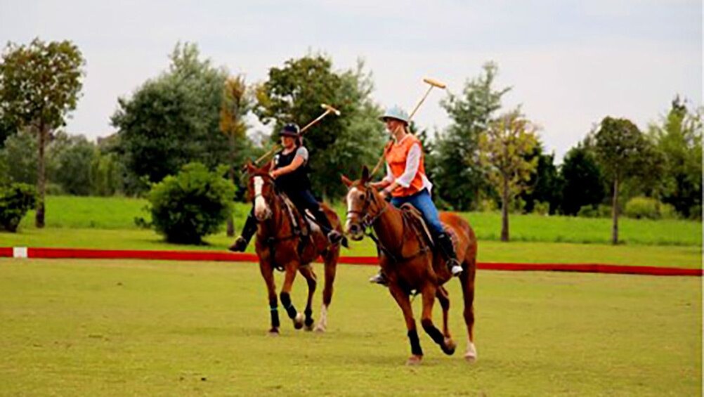 People playing Polo