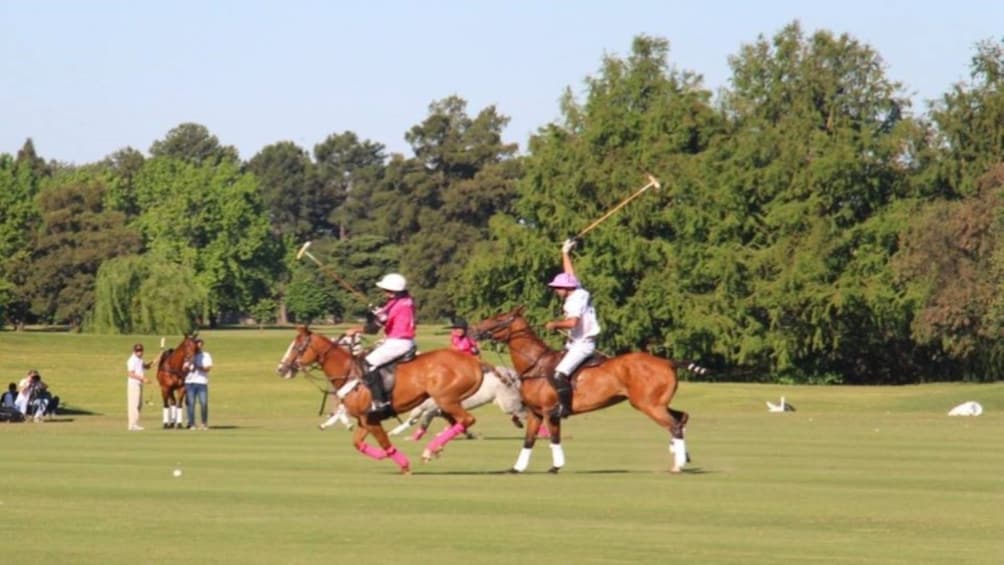 Full-Day Polo Experience with Exhibition Match & Lessons