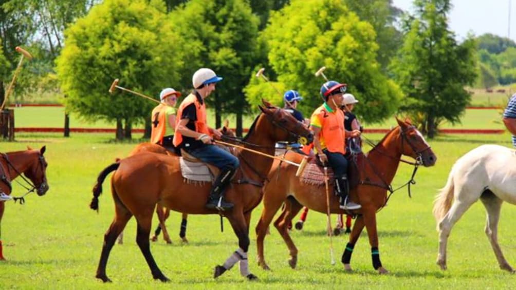 People playing Polo