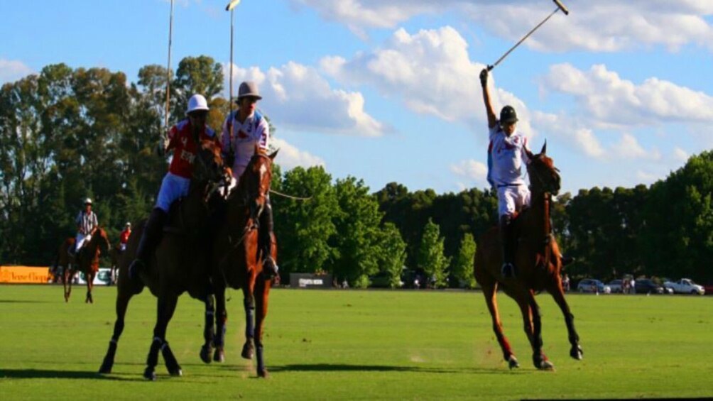 Full-Day Polo Experience with Exhibition Match & Lessons