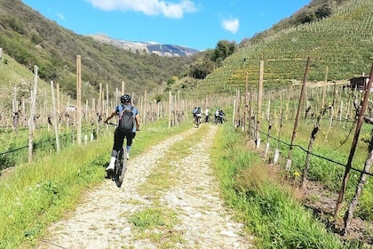 Half-Day E-Bike Tour in Prosecco Hills with Prosecco Tasting