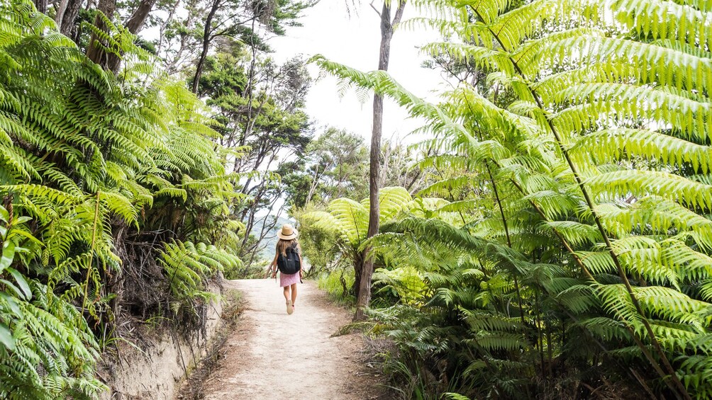 Full-Day Abel Tasman National Park Walking Tour with Lunch