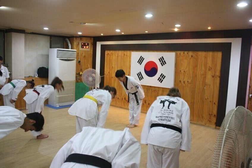 Korea Taekwondo Experience