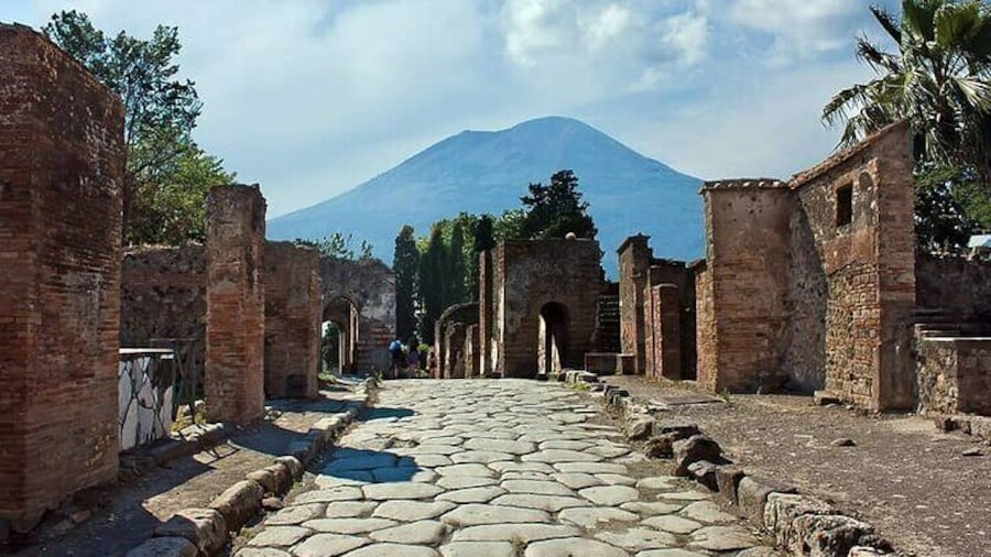 Pompeii and Vesuvius Cellars Tour in Small Groups from Salerno