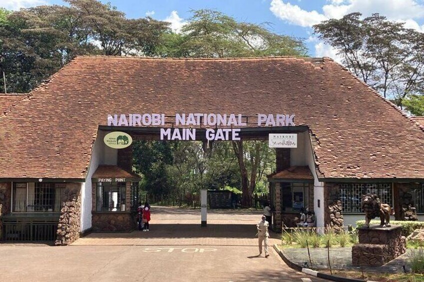 Half Day Guided Tour in Nairobi National Park