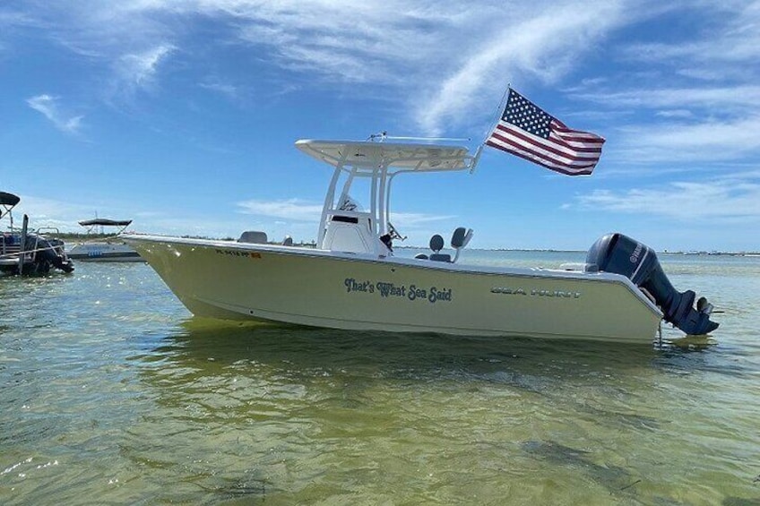 Madeira Beach and Shell Key Preserve Half Day Private Boat Tour