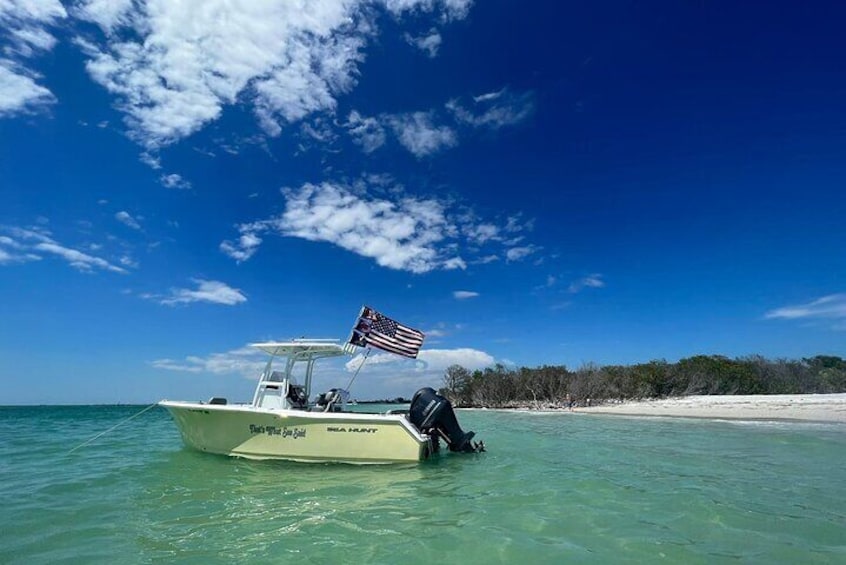 Madeira Beach - Shell Key - Dolphins - Half Day Private Boat Tour