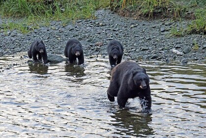 Private Alaska Native Excursion (Cultural and Scenic Experience)