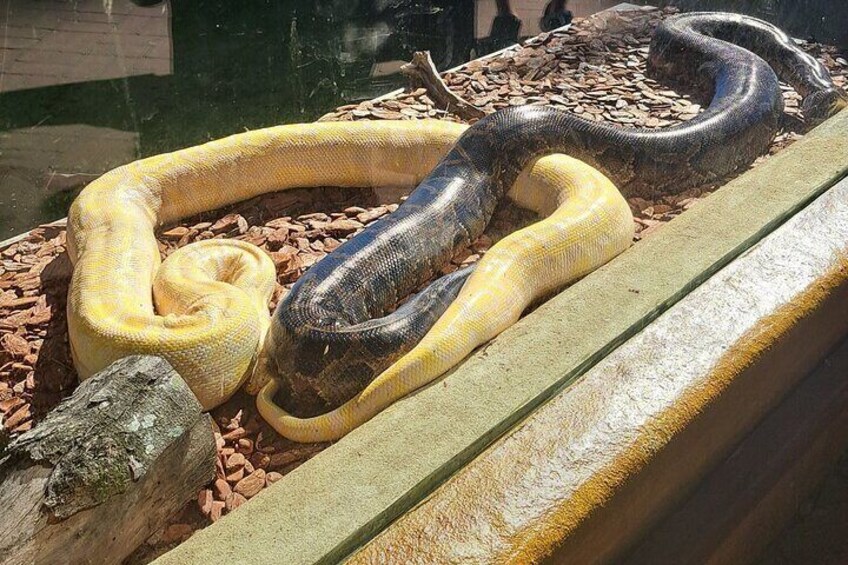 AquaRio and Biopark half-day tour