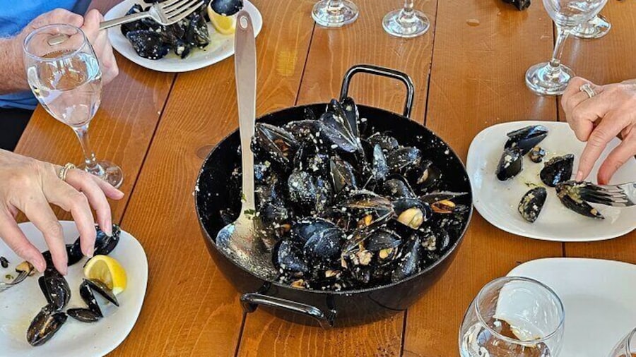 Private Wine tasting and Oyster experience at Peljesac