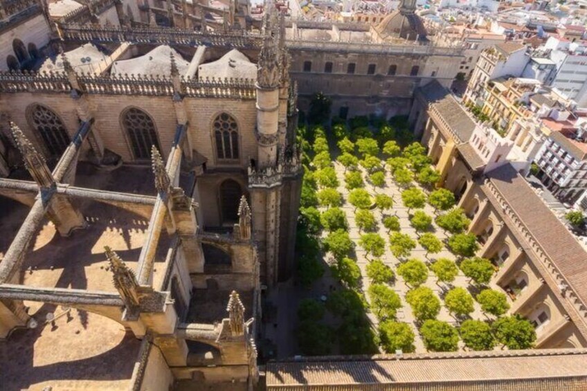 Self Audio Guided Tour in Seville Cathedral