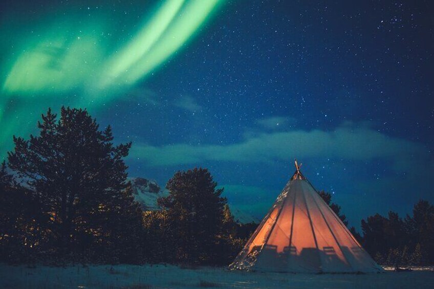 Northern Light Experience