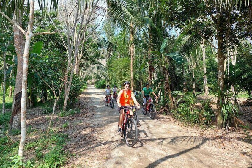 Half-Day Phuket's Hidden Trails Biking Adventure Small-Group Tour