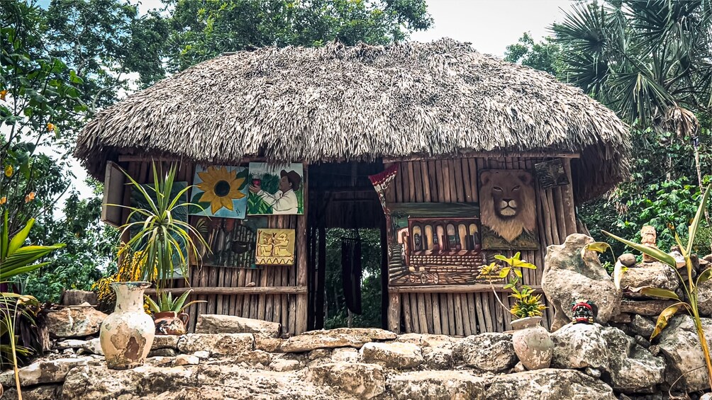 Cobá Deluxe