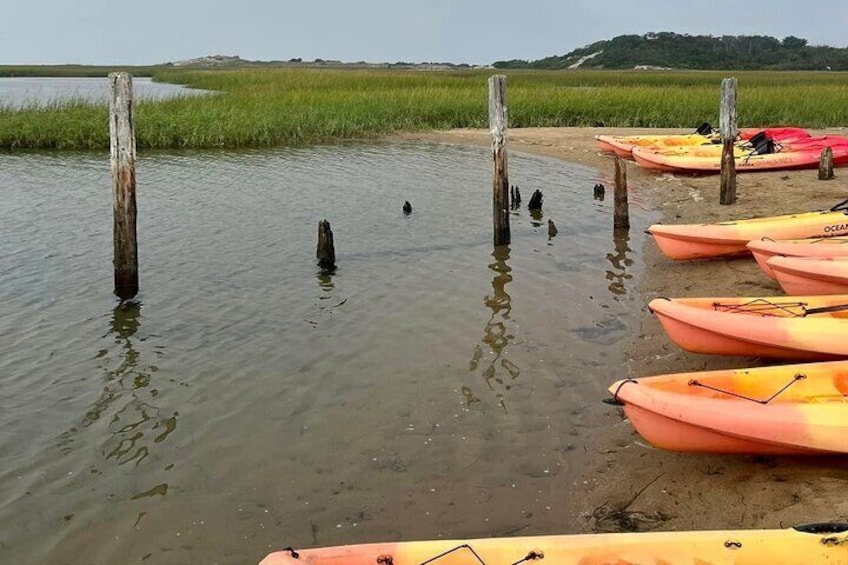 The Moors-Provincetown, Mass