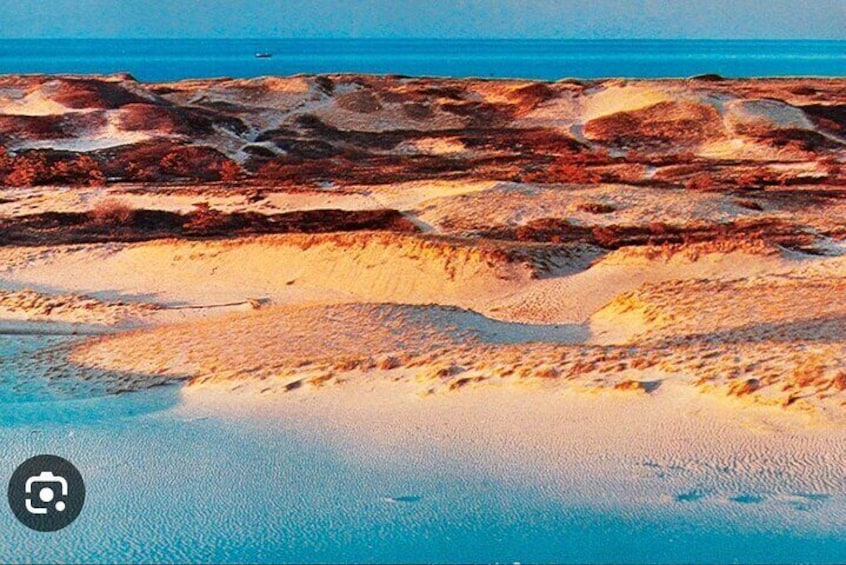 Sand Dunes of Provincelands National Park-Provincetown
