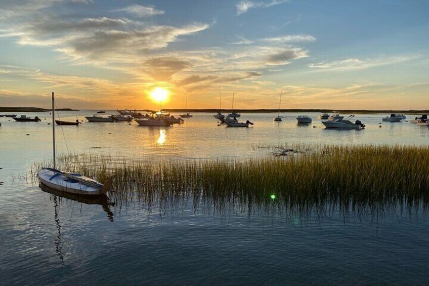  National Seashore Tour with Guided Hike