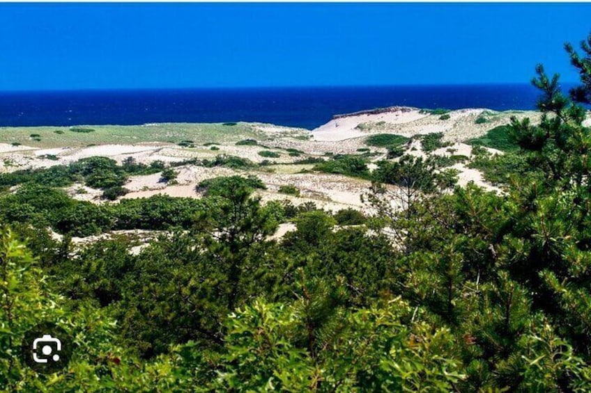 Take in Beautiful Views of Provincelands National Park