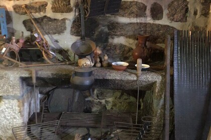 Experiencia de vino y cocina portuguesa de 4 horas