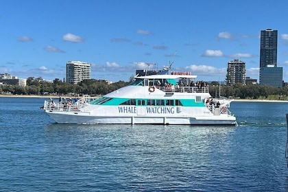 Broadwater Discovery Lunch Cruise with Spirit of Gold Coast