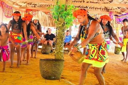 7 Hour Private Embera Community Tour in Chagres River