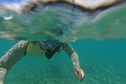 Hanauma Bay Guided Snorkeling Tour