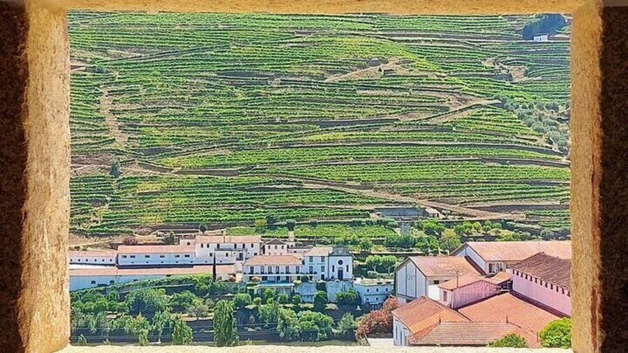 Douro Valley Full Day Tour with River Cruise and Wine Tastings