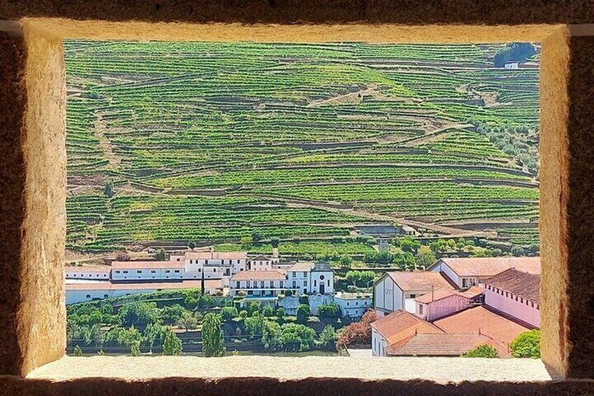 Douro Valley Full Day Tour with River Cruise and Wine Tastings