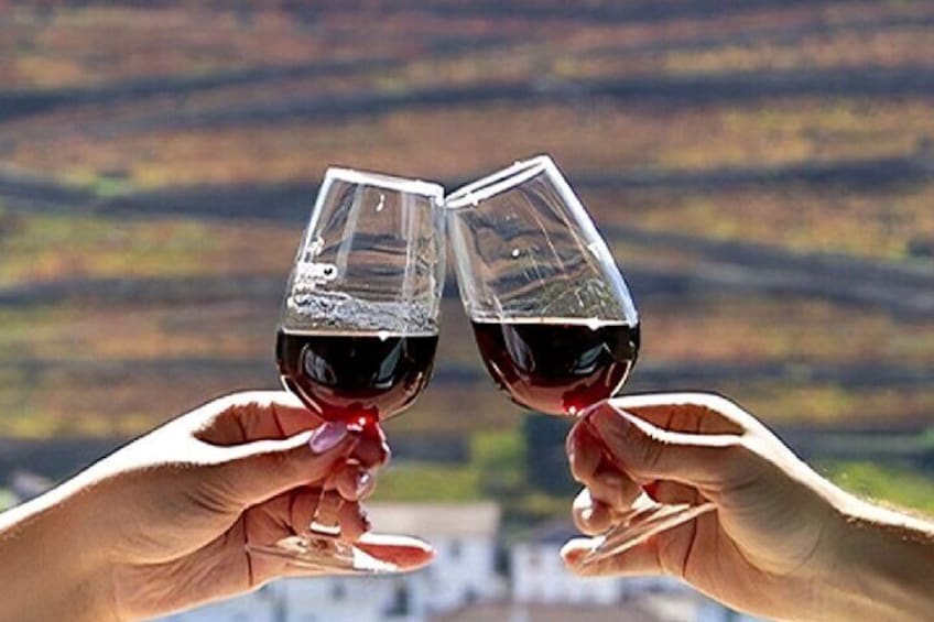 Douro Valley Full Day Tour with River Cruise and Wine Tastings