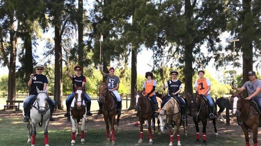 Polo Day with Argentine Asado Day Tour from Buenos Aires