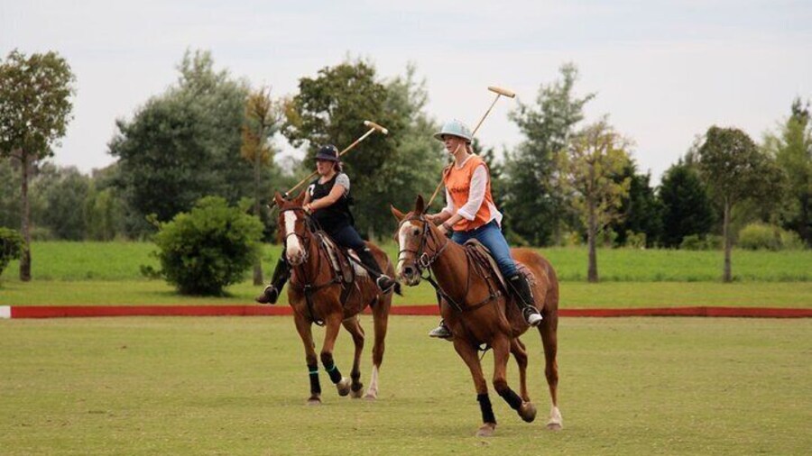 Polo Day with Argentine Asado Day Tour from Buenos Aires