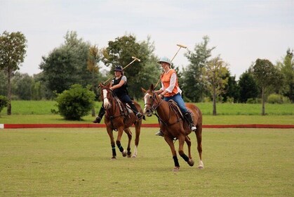 Polo Day with Argentine Asado Day Tour from Buenos Aires