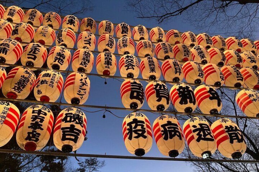 Walk Around Okunitama Shrine Private Tour in Tokyo