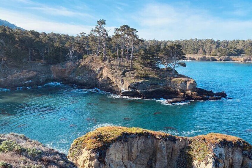 Point Lobos - A Private Charming Ocean Tour