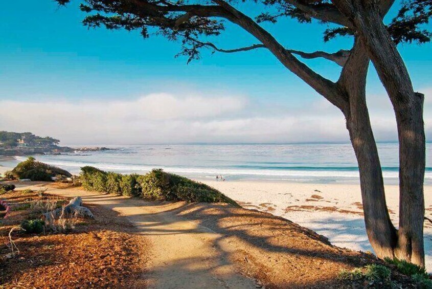 Carmel by the Sea 2-Hour Private Walking Tour