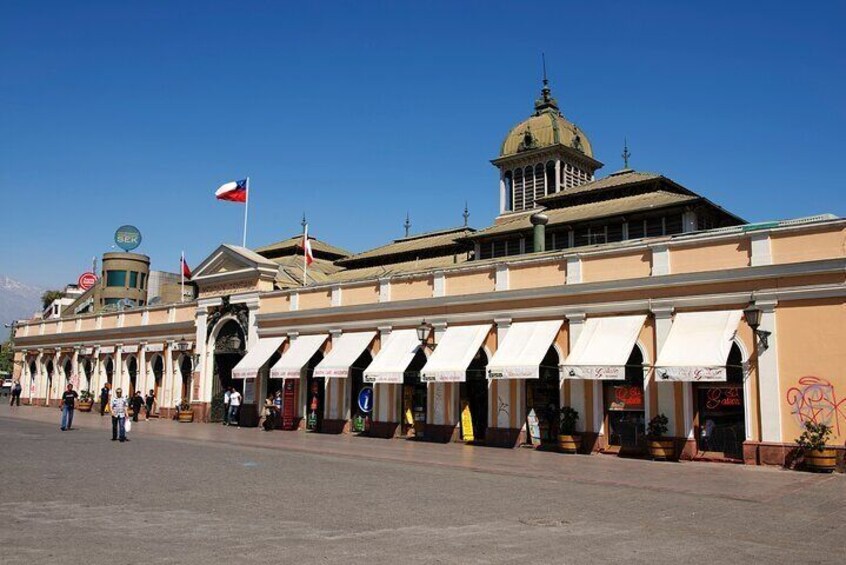 Full Day Private Shore Tour in Santiago from Valparaiso Port